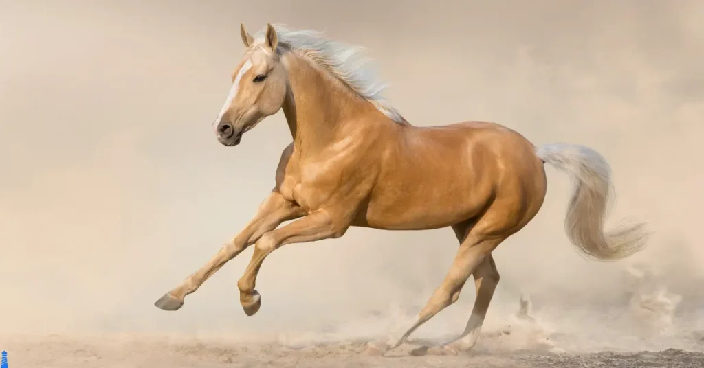 Tan horse running wild and free.